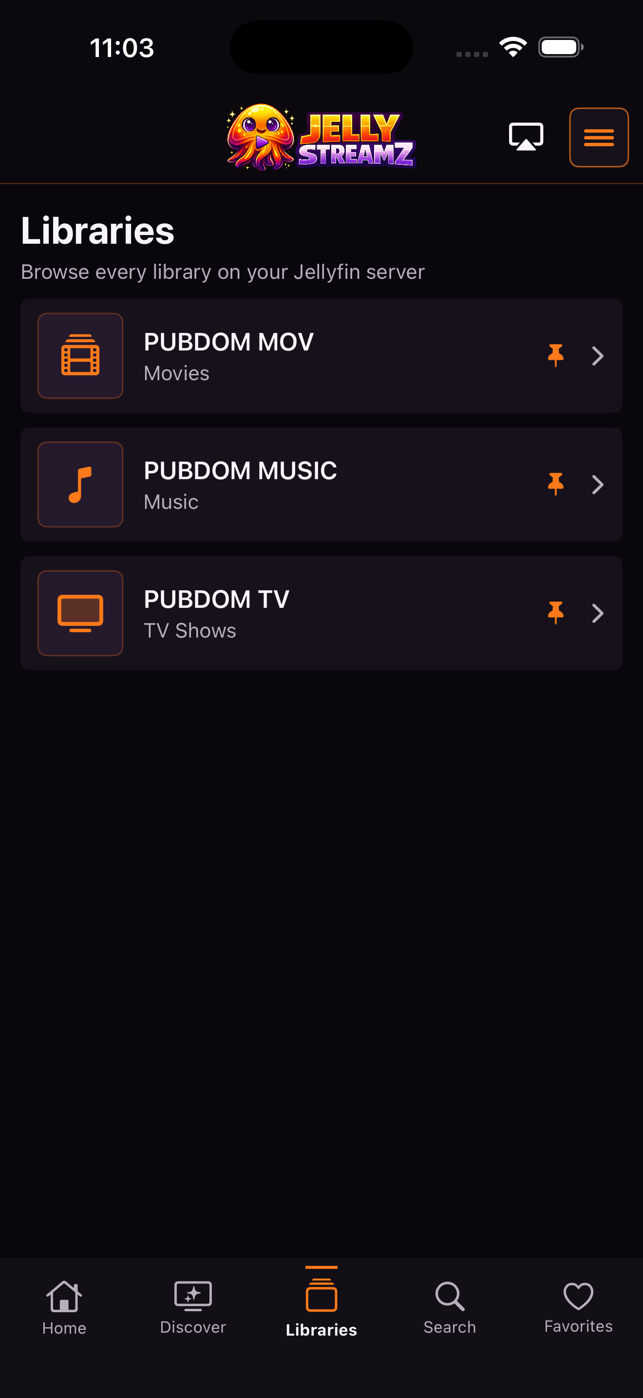 JellyStreamz Libraries screen on iPhone