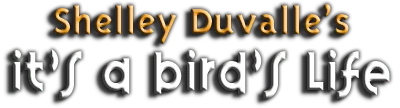 Shelley Duvall's It's A Bird's Life logo