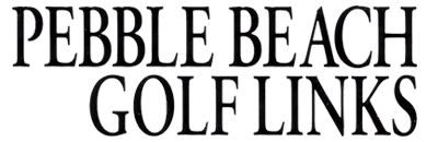 T&E VR Golf: Pebble Beach no Hatou logo