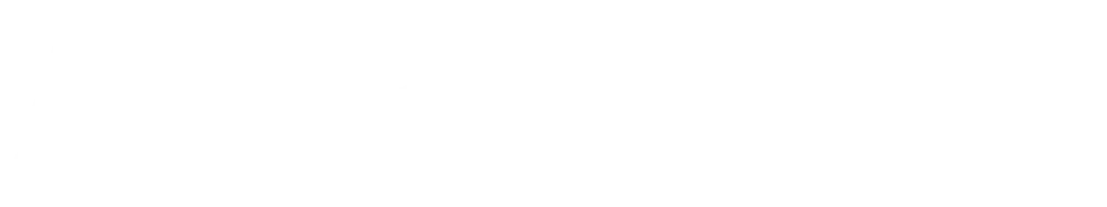 Airline logo