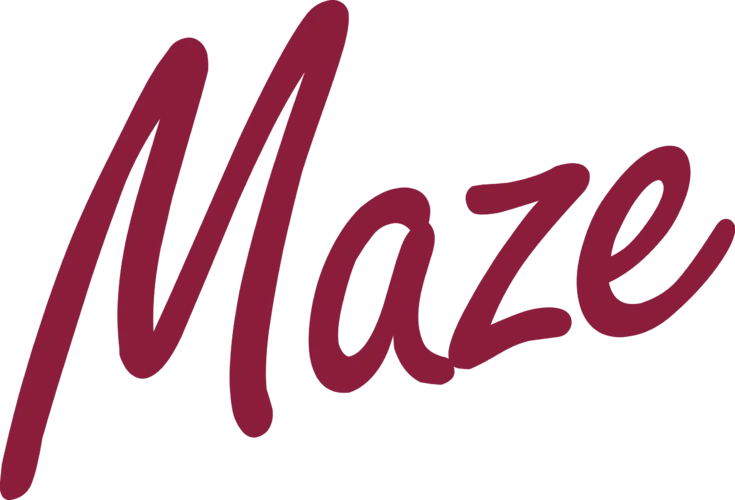 Maze logo