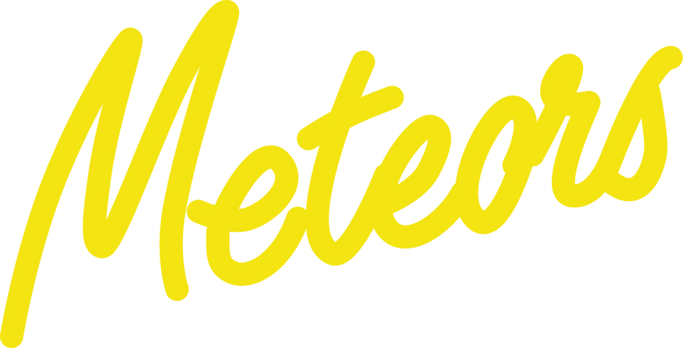 Meteors logo