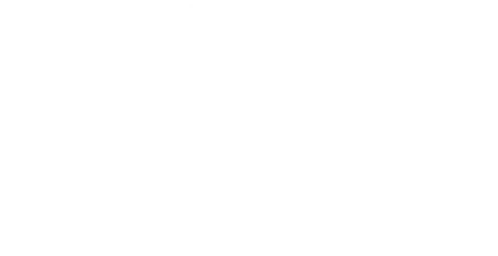 Night Strike logo