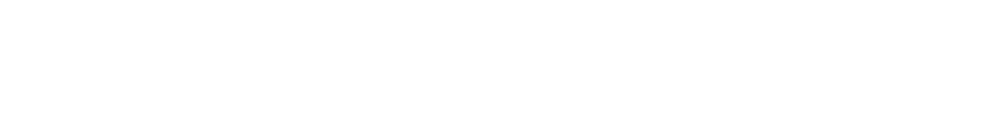 Wizzy's Mansion logo