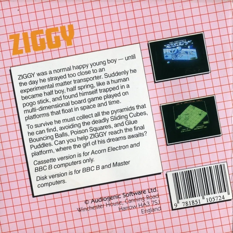 Ziggy box back