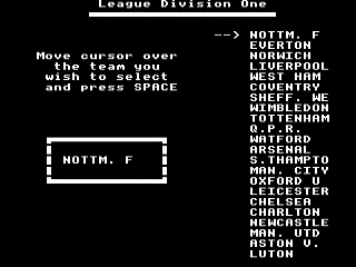 Footballer of the Year screenshot