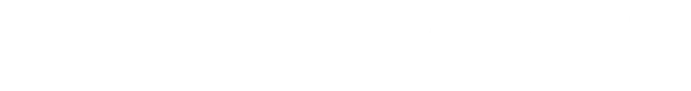 Bert Boot logo