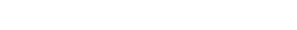 Birdie Barrage logo