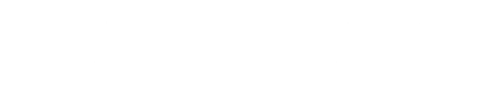Dallas logo