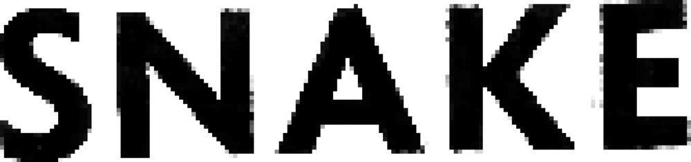 Snake logo