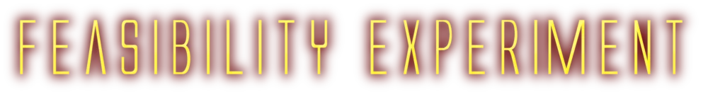 Feasibility Experiment logo