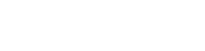 2 Player Soccer Squad logo