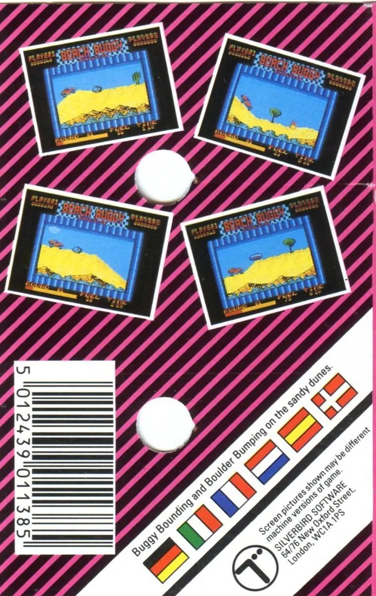 Beach Buggy Simulator box back