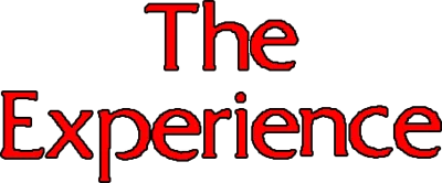 The Experience logo