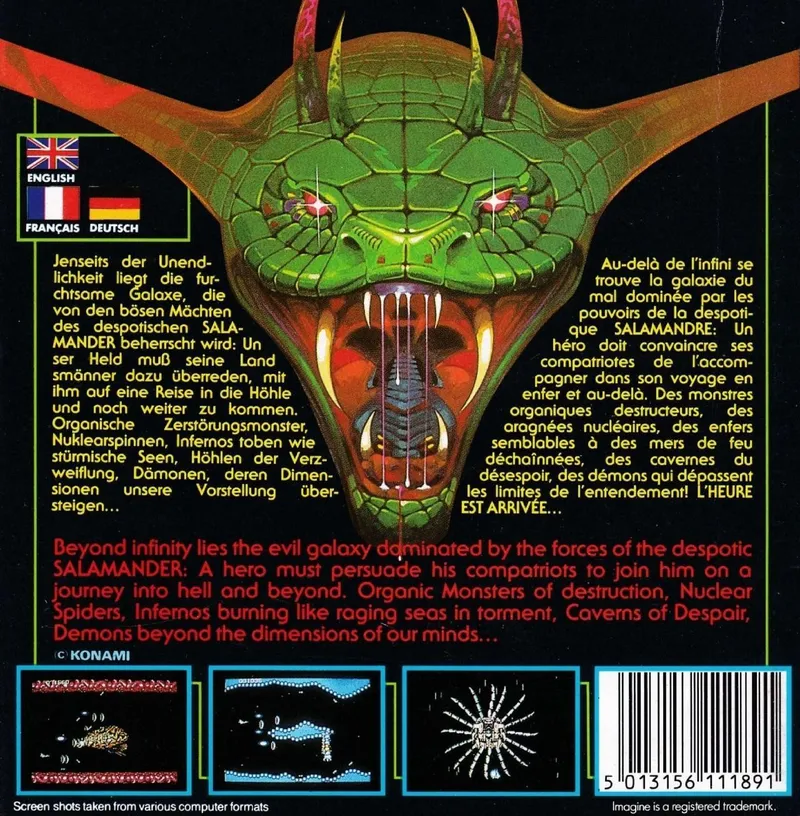 Salamander box back