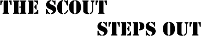 The Scout Steps Out logo