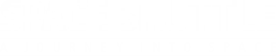 Space Shuttle: A Journey into Space logo