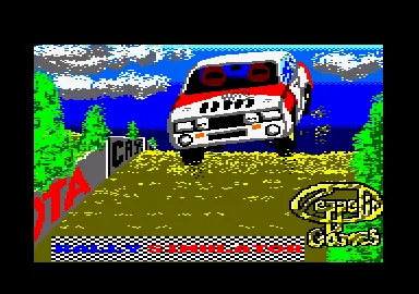 Rally Simulator screenshot