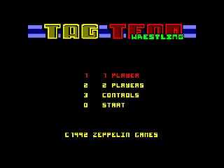 American Tag-Team Wrestling screenshot