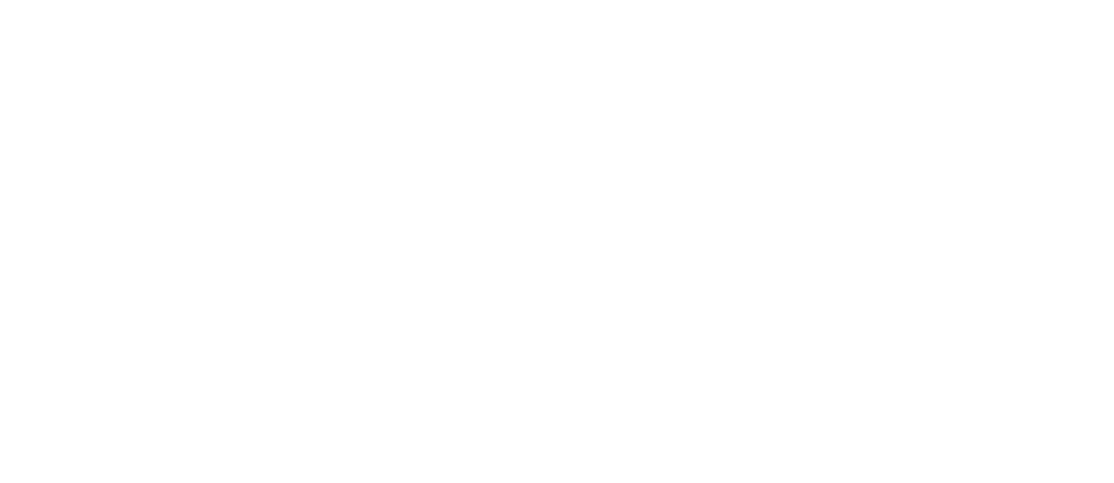 Star Rank Boxing II logo
