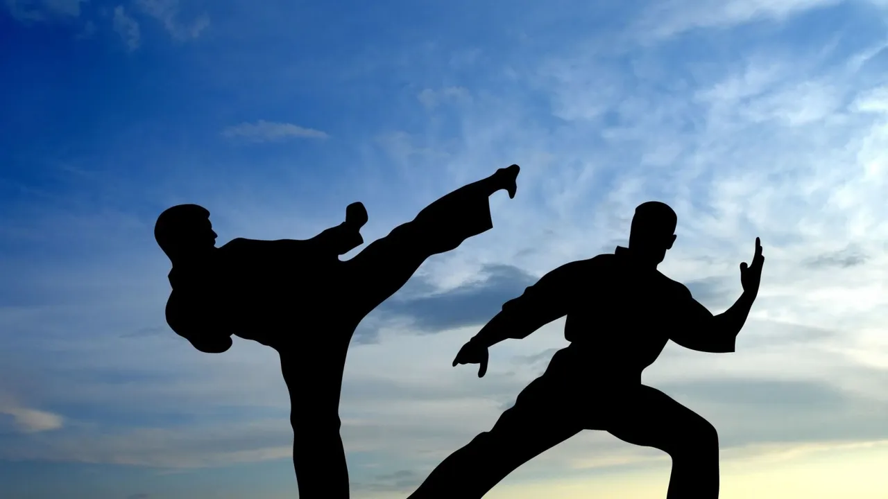 Backdrop artwork for Karate Champ