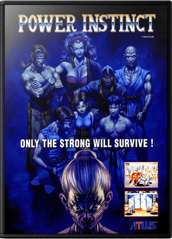 Power Instinct box art