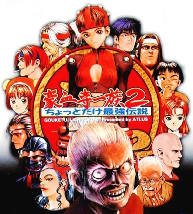 Power Instinct 2 box art