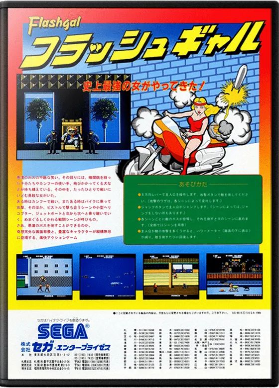 Flashgal box art