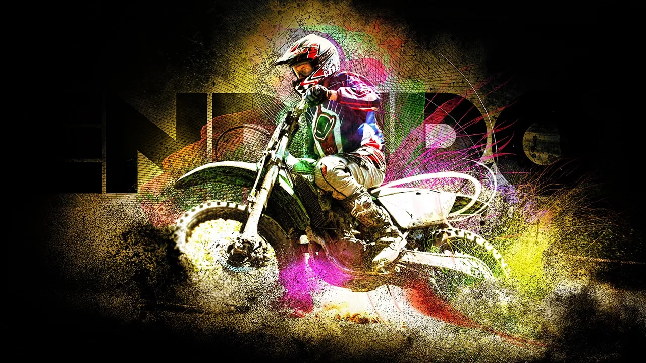 Backdrop artwork for Enduro Racer