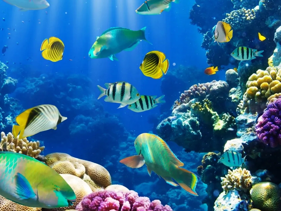 Backdrop artwork for Aqua Rush
