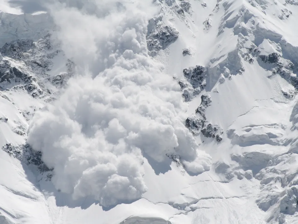 Backdrop artwork for Avalanche