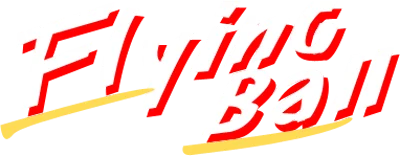Flying Ball logo