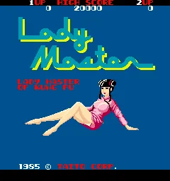 Lady Master of Kung Fu screenshot