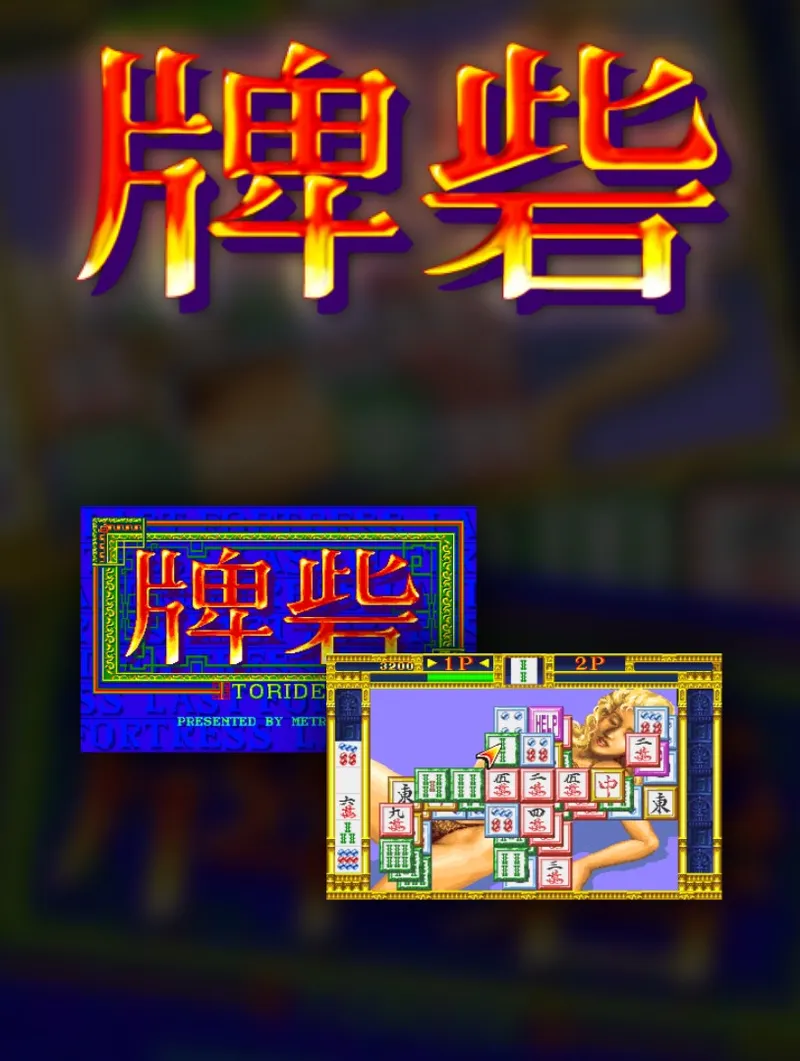 Last Fortress: Toride box art