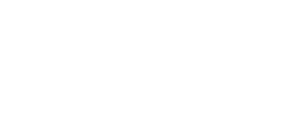 Night Raid logo