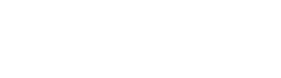 Space Fever logo