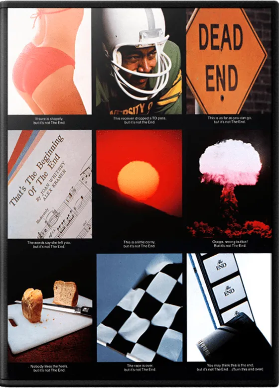 The End box art