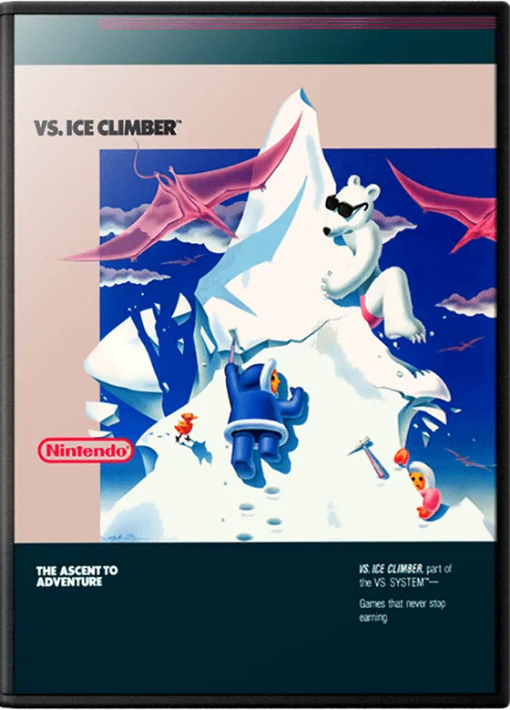 Vs. Ice Climber Dual box art