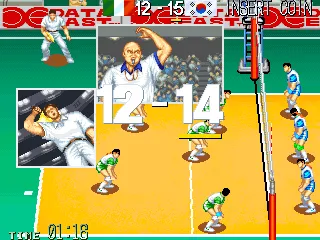 Backdrop artwork for World Cup Volley '95
