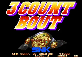 3 Count Bout / Fire Suplex screenshot
