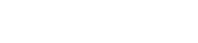 Bridge logo