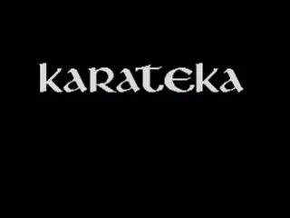 Karateka screenshot
