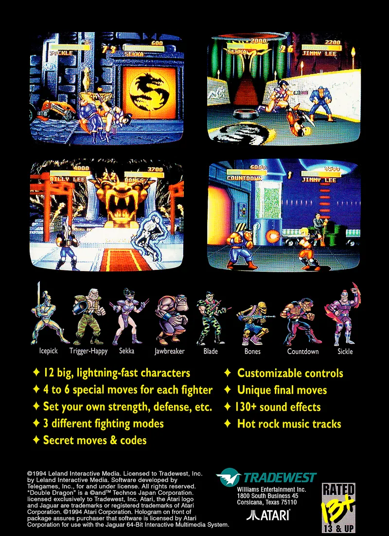 Double Dragon V: The Shadow Falls box back