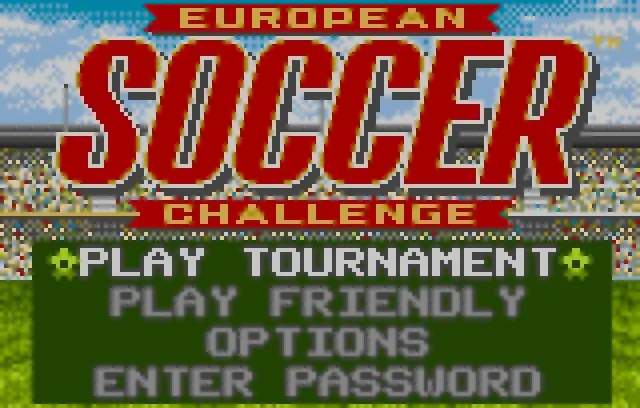 European Soccer Challenge screenshot