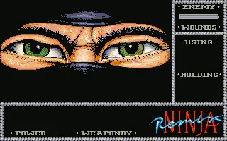 Ninja Remix screenshot
