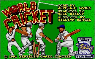World Cricket screenshot