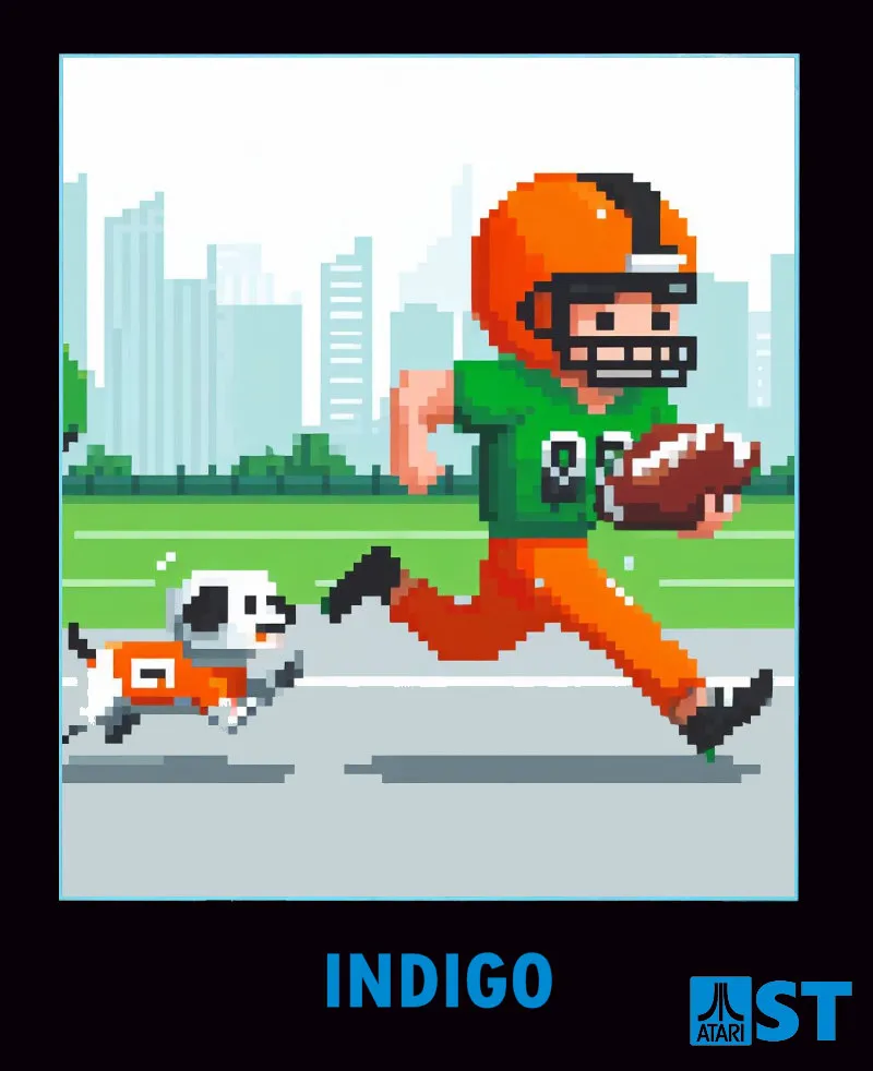 Indigo box art
