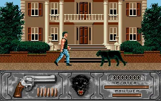 Wild Streets screenshot