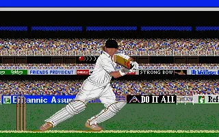 Championship Cricket screenshot