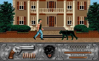 Wild Streets (Europe) (Budget - Fox Hits) screenshot